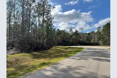 10545 Link Tree Lane, Willis, TX 77378 - Photo 8