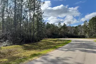 10545 Link Tree Ln, Willis, TX 77378 - Photo 8