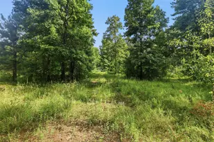 31577 Bohlssen Rd, New Caney, TX 77357 - Photo 1