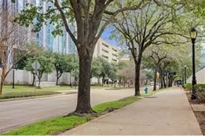 2121 El Paseo Street #1511, Houston, TX 77054 - Photo 20