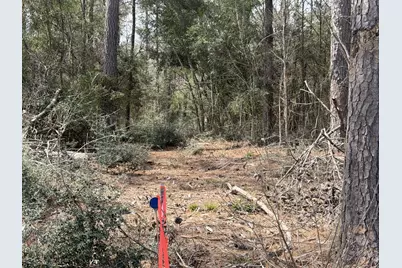 11792 Inspiration Drive, Willis, TX 77378 - Photo 8