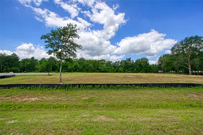 25004 Chapel Bend Court, Montgomery, TX 77356 - Photo 10