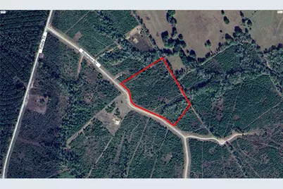 Tract 100 Robertson Road, Lovelady, TX 75851 - Photo 2