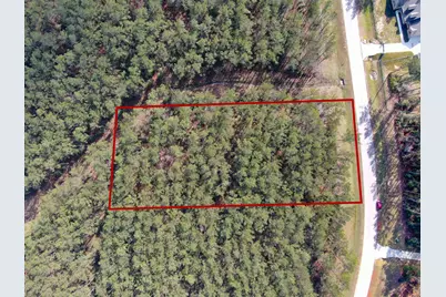 15688 Wooded Trail Way, Willis, TX 77378 - Photo 10