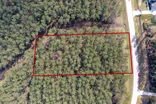 15688 Wooded Trl Wy, Willis, TX 77378 - Photo 10