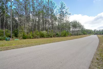 15688 Wooded Trail Way, Willis, TX 77378 - Photo 4