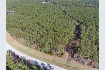 15688 Wooded Trail Way, Willis, TX 77378 - Photo 10
