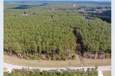 15688 Wooded Trail Way, Willis, TX 77378 - Photo 14