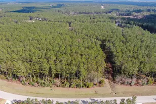 15688 Wooded Trl Wy, Willis, TX 77378 - Photo 14