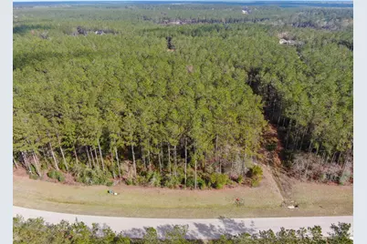 15688 Wooded Trail Way, Willis, TX 77378 - Photo 6