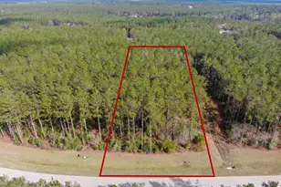 15688 Wooded Trl Wy, Willis, TX 77378 - Photo 1