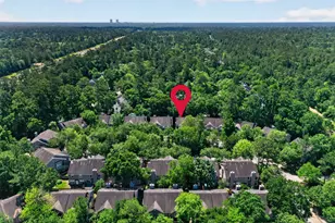38 Musgrove Pl, Spring, TX 77382 - Photo 32
