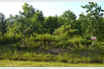 597 Road 5516, Cleveland, TX 77327 - Photo 6