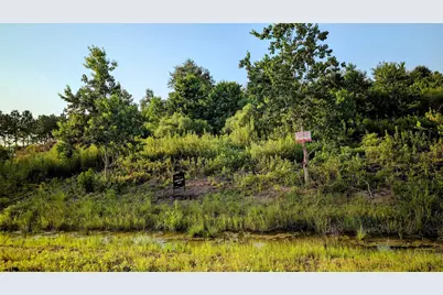 597 Road 5516, Cleveland, TX 77327 - Photo 2