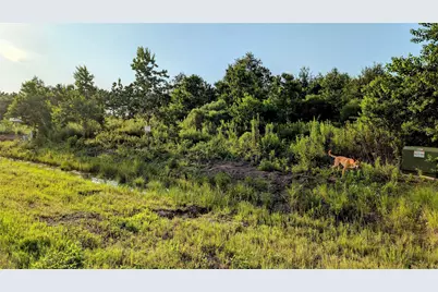 597 Road 5516, Cleveland, TX 77327 - Photo 4