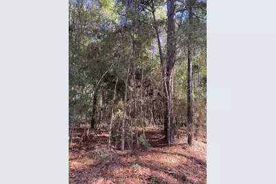 6442 Fm-3065, Colmesneil, TX 75938 - Photo 4