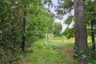 23891 Stanart Rd, Porter, TX 77365 - Photo 1