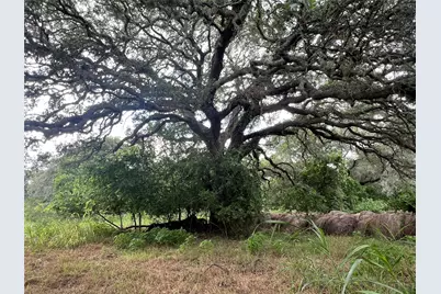0000 Langdon Road and Fm 1579, Schulenburg, TX 78956 - Photo 8