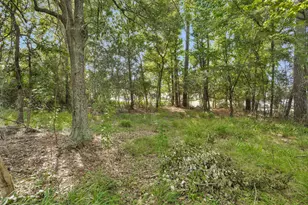 11710 Willowrun Dr, Montgomery, TX 77356 - Photo 50