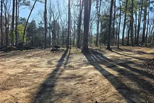 20 Morris Creek Rd, Coldspring, TX 77331 - Photo 24