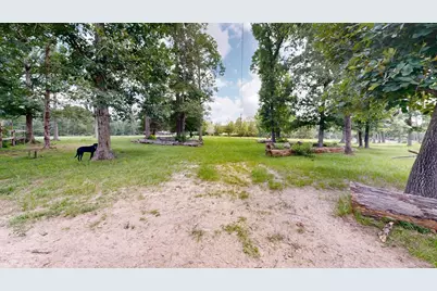 6450 & 6390 Fm-2025, Coldspring, TX 77328 - Photo 18