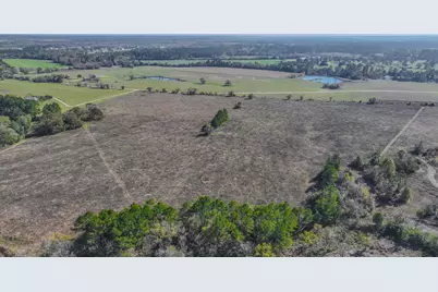 Tbd Lot 1 & 2 Podraza Road, New Waverly, TX 77358 - Photo 4