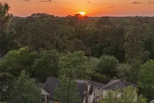 10 Feather Fall Pl, The Woodlands, TX 77381 - Photo 36
