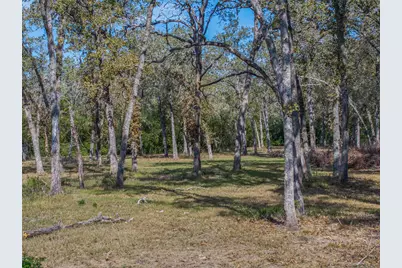 217 Timberlake Drive, La Grange, TX 78945 - Photo 6