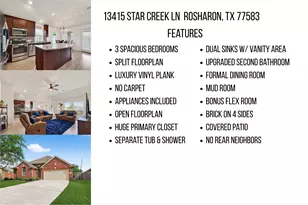 13415 Star Creek Ln, Rosharon, TX 77583 - Photo 44