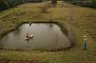 25202 Hwy 105, Sour Lake, TX 77659 - Photo 38