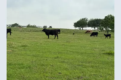 5848 Mieth Road, Sealy, TX 77474 - Photo 14