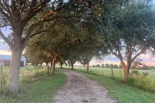 5848 Mieth Rd, Sealy, TX 77474 - Photo 2
