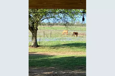 5848 Mieth Road, Sealy, TX 77474 - Photo 26