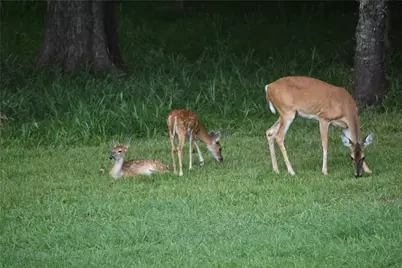 3287 Bradley Lane, Brenham, TX 77833 - Photo 38