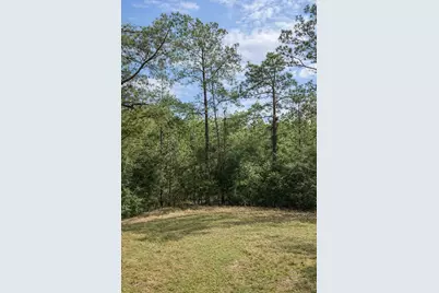 Tbd 123 Palmer Drive, Brookeland, TX 75931 - Photo 1