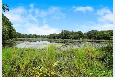 9228 Sharyn Drive, Conroe, TX 77384 - Photo 10