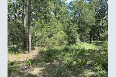 24805 Nottingham Circle, Hockley, TX 77447 - Photo 2