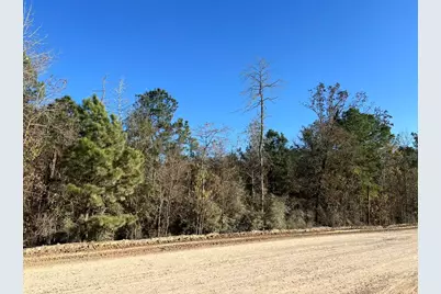 000 West Village Way, Conroe, TX 77302 - Photo 2