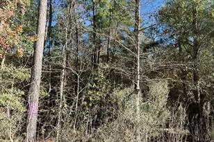 000 West Village Way, Conroe, TX 77302 - Photo 6