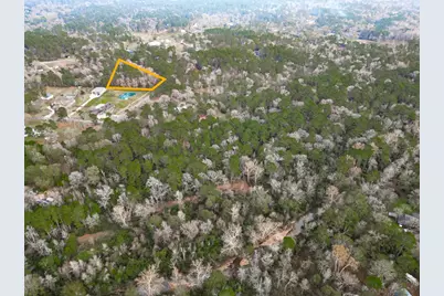 0 Alton Wright Dr, Magnolia, TX 77355 - Photo 2