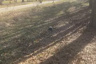 15432 O'Connor Dr, Splendora, TX 77372 - Photo 6