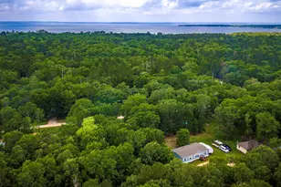180 Raven, Livingston, TX 77351 - Photo 42