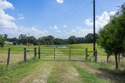 12151 State Highway 75 N, Buffalo, TX 75831 - Photo 4