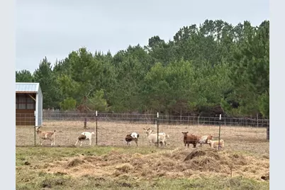 707 Bill Rasbeary Road, Woodlake, TX 75865 - Photo 12