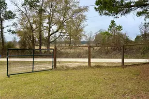 707 Bill Rasbeary Rd, Woodlake, TX 75865 - Photo 8