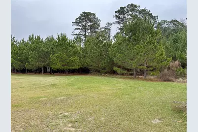 707 Bill Rasbeary Road, Woodlake, TX 75865 - Photo 16