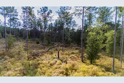 922 Rolling Pines Drive, Livingston, TX 77351 - Photo 4