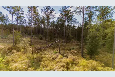 922 Rolling Pines Drive, Livingston, TX 77351 - Photo 16
