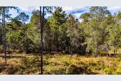 922 Rolling Pines Drive, Livingston, TX 77351 - Photo 10