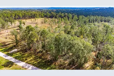 922 Rolling Pines Drive, Livingston, TX 77351 - Photo 14